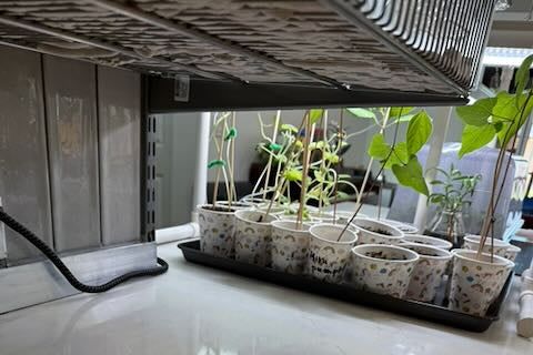 Indoor Garden Light Set