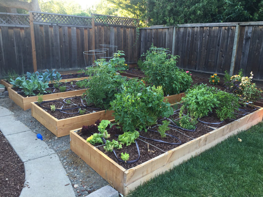 Why we like gardening with kids