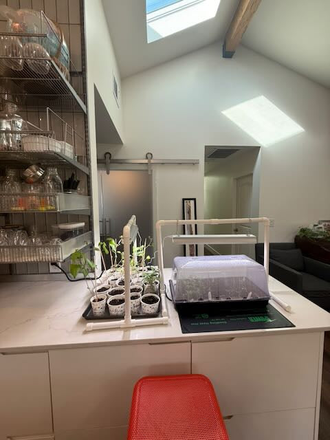 Complete indoor seed starting station setup with grow lights seedling trays and starter pots perfect garden tools and supplies gift