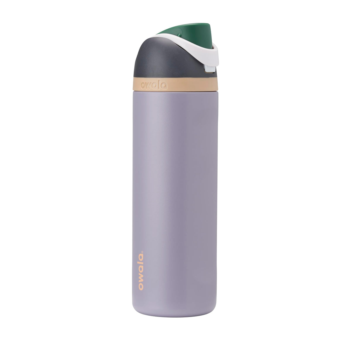 Owala FreeSip 24 oz insulated stainless steel water bottle in Due North