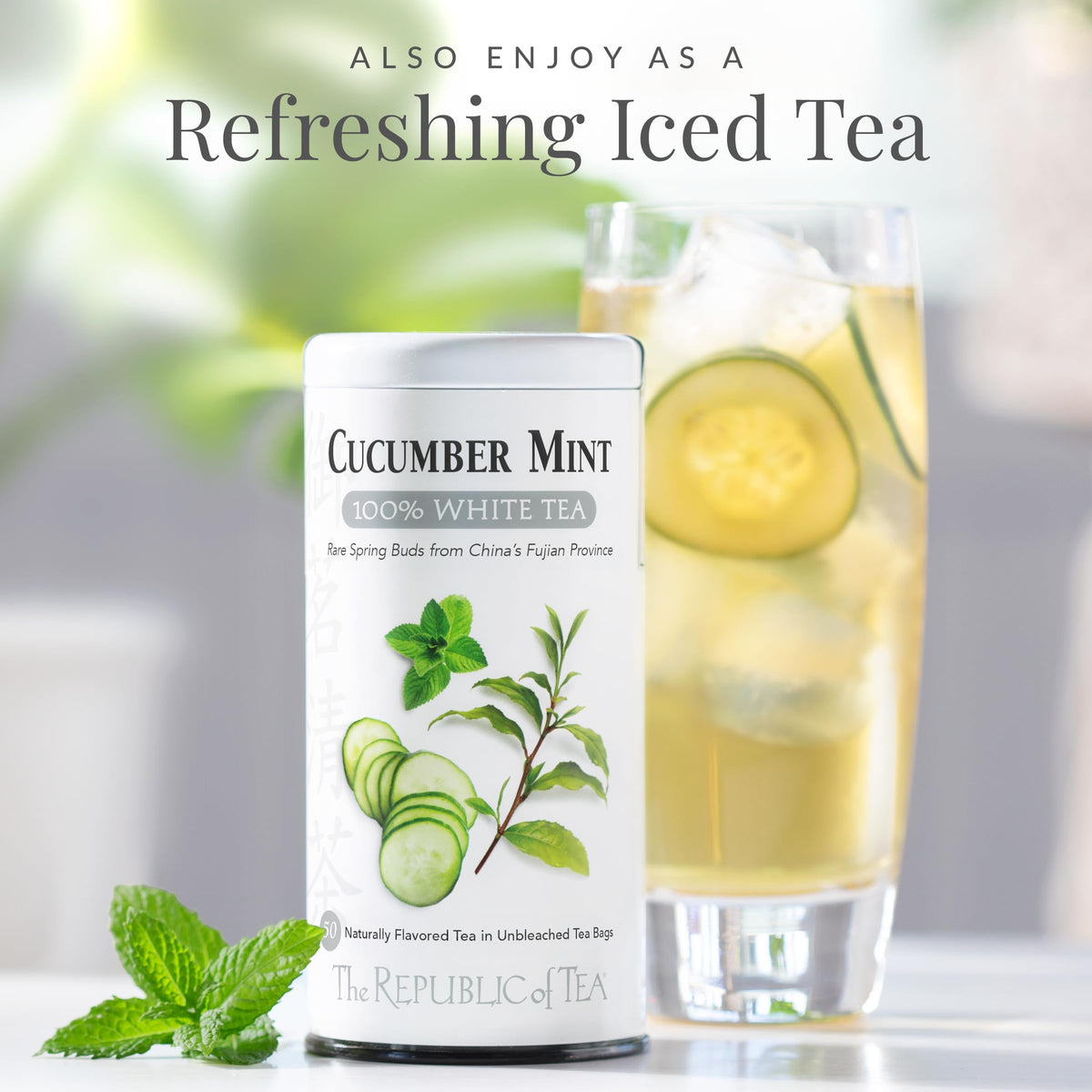 Cucumber Mint 100% White Tea Bags | The Republic of Tea