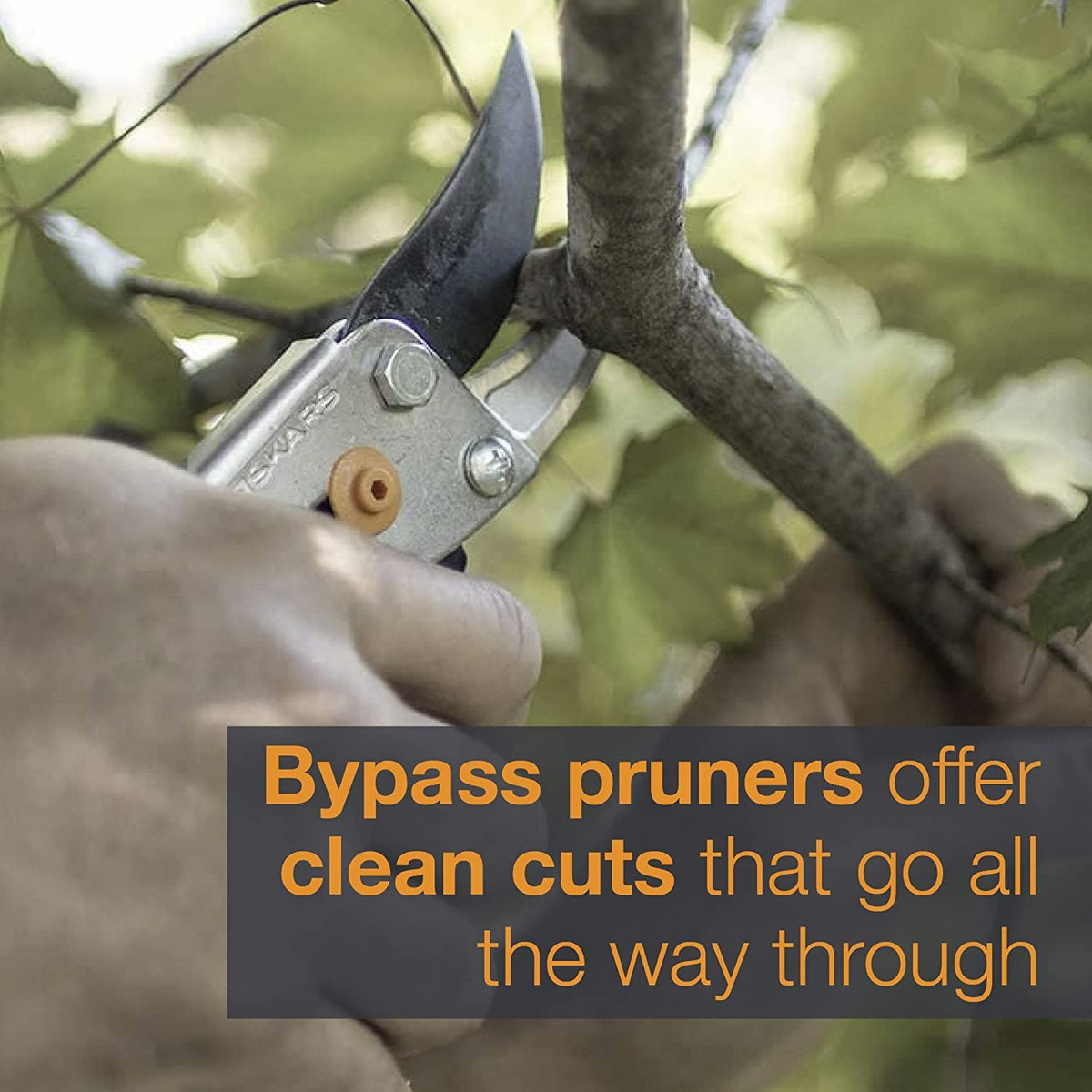 Fiskars Forged Steel Bypass Pruning Shears (4 Options)