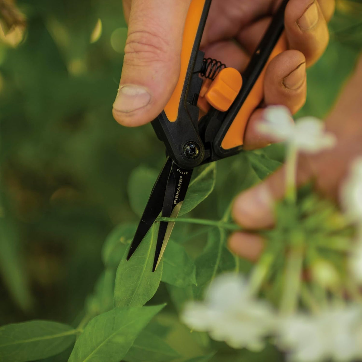 6" Non-Stick Pruning Snips, Scissors, and Tool Gift Set