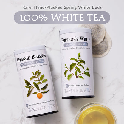 Cucumber Mint 100% White Tea Bags | The Republic of Tea