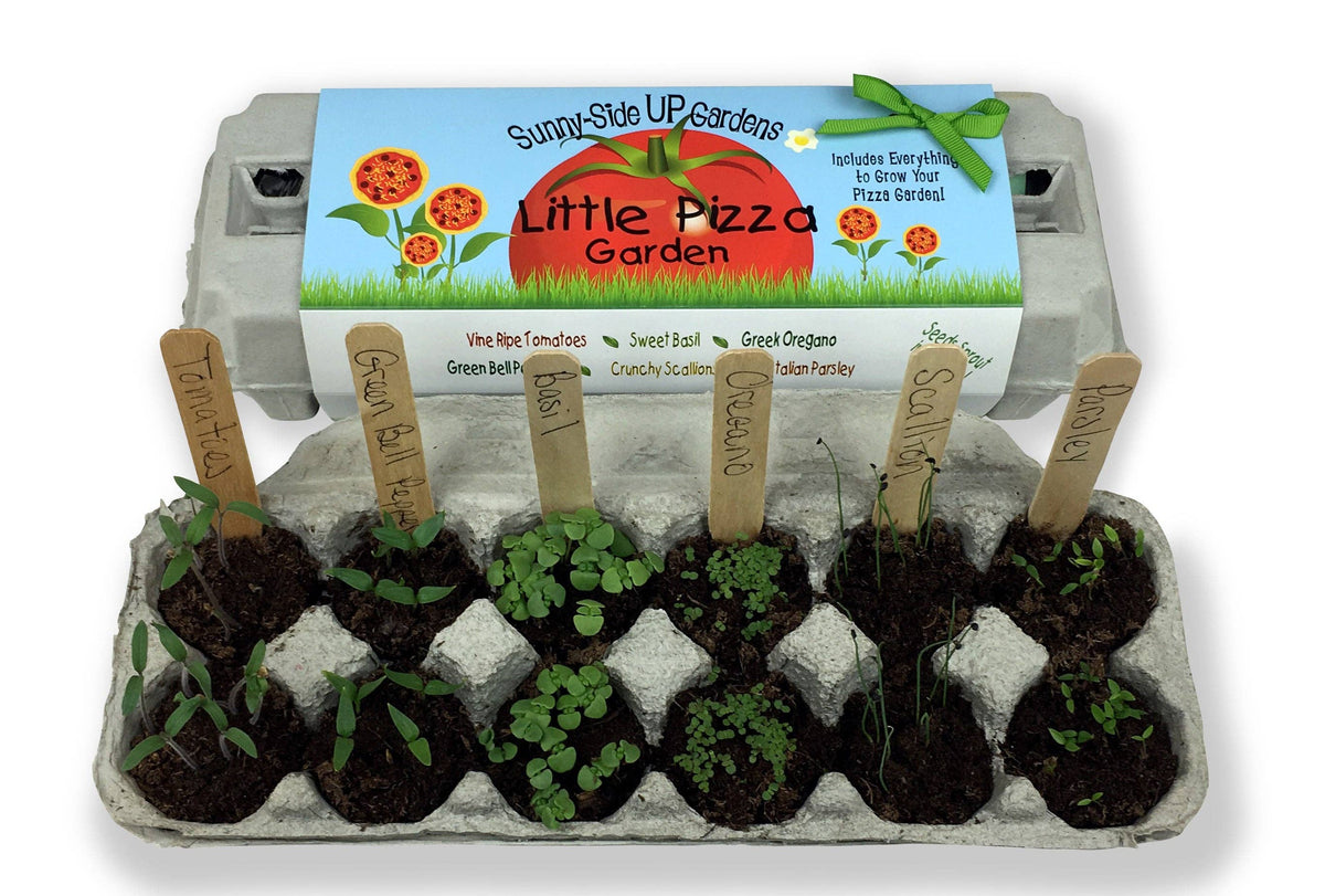 Little Pizza Garden Grow Kit