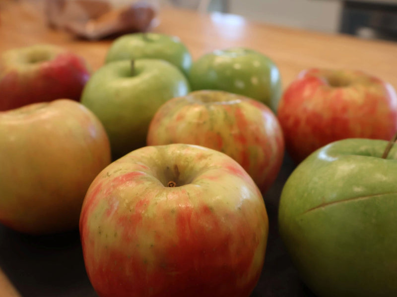Red, green, and yellow apples gathered on a table
