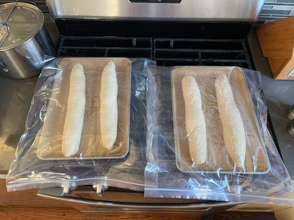 Baguettes proofing in perforated pans, covered to hold moisture