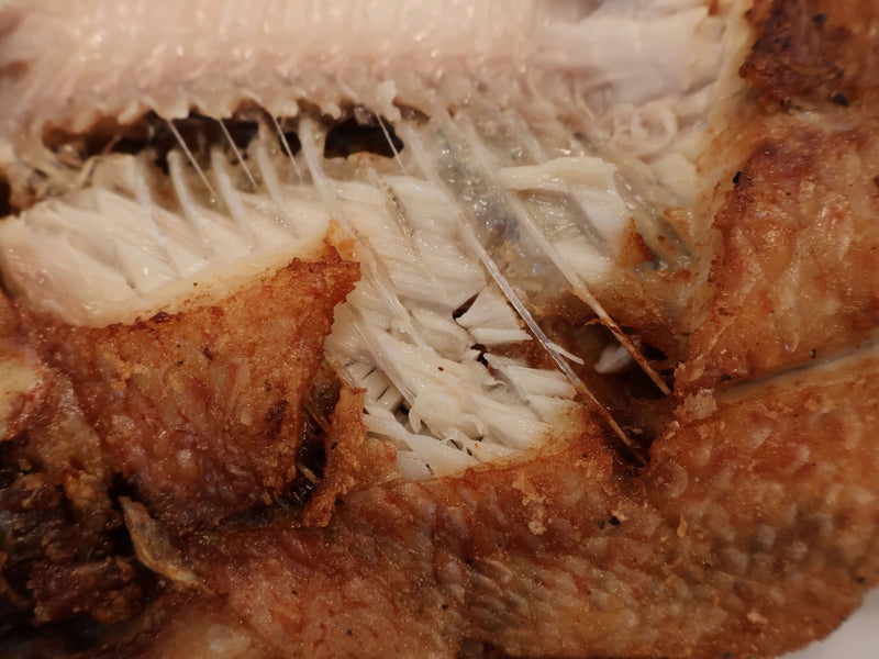 Fried fish pieces rested and ready to plate
