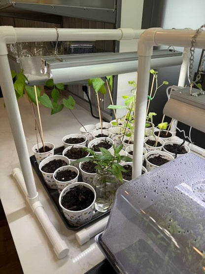 Indoor Garden Light Set