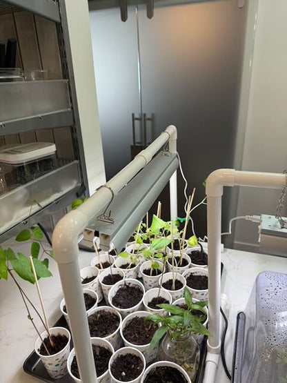 Indoor Garden Light Set