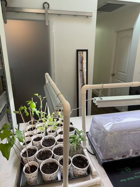 Indoor Garden Light Set