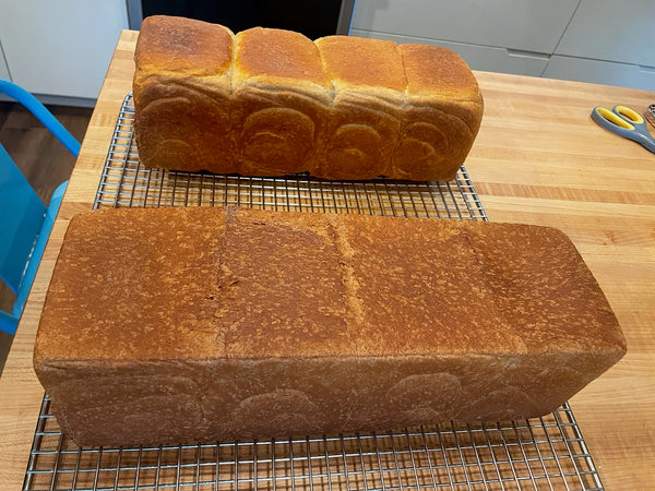Bake