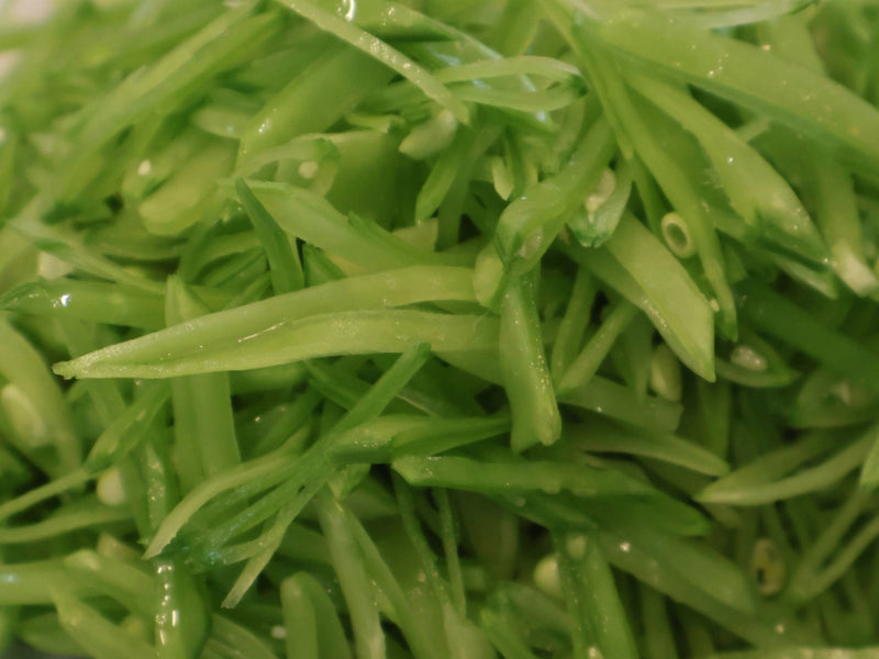 Ingredients for snow pea salad: snow peas, pistachios, avocado, lemon