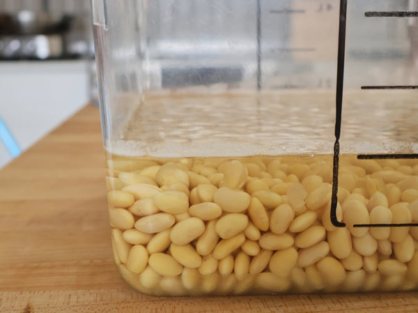 Dried soybeans, measured out