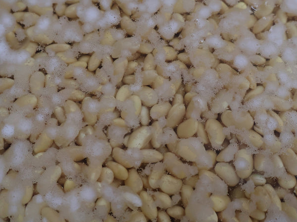 Soaked overnight and ready to blend