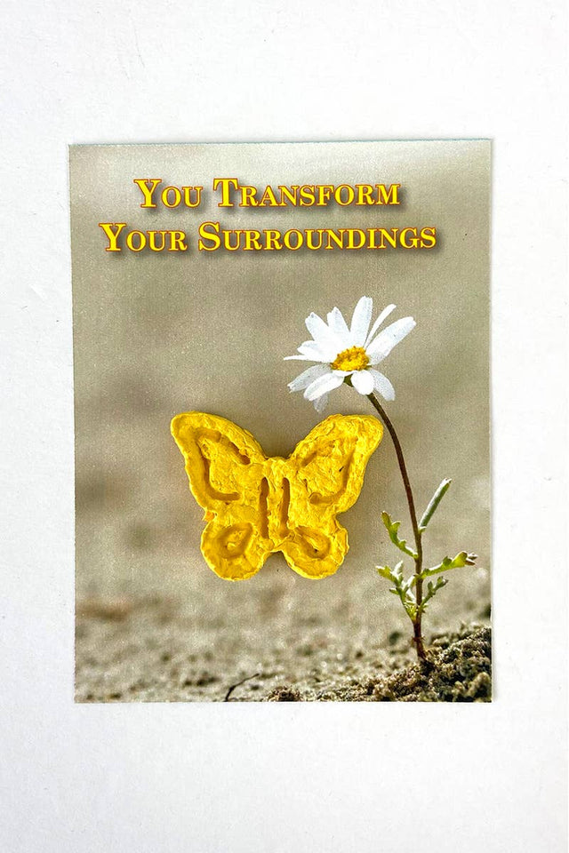 You Transform Your Surroundings Seed Bomb