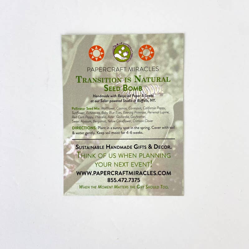 You Transform Your Surroundings Seed Bomb